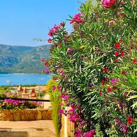 Villino Cloe Dell'orso Villa Proiettore