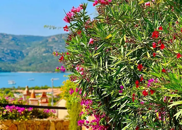 Villino Cloe Dell'orso ヴィラ Proiettore